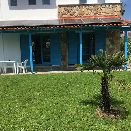 Blue House