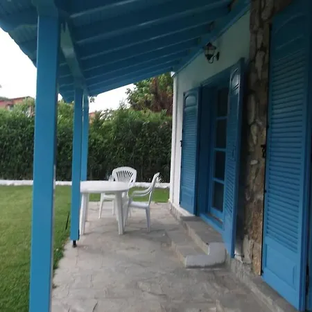 Blue House *