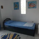 Blue House *